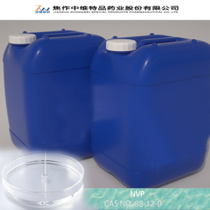 NVP ??? ?? ???? - ?? ??