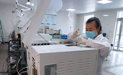 cromat&oacute;grafo de gases